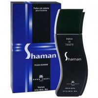 Туалетная вода Arno Sorel Shaman Homme, 100 мл