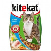 КИТИКЭТ